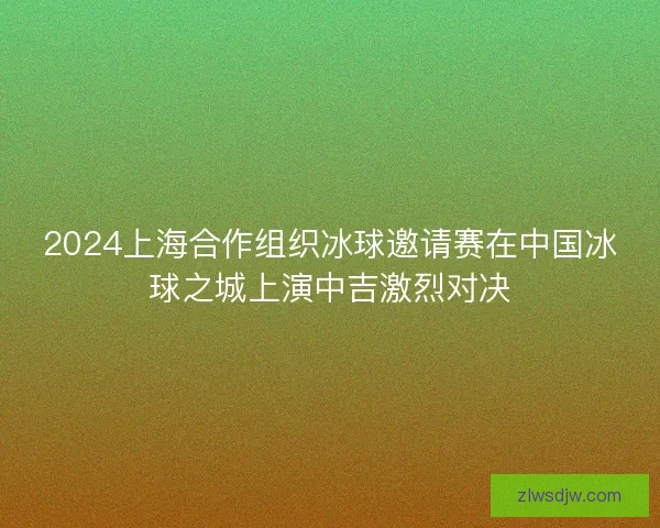 2024上海合作组织冰球邀请赛在中国冰球之城上演中吉激烈对决 2024上海合作组织冰球邀请赛在中国冰球之城上演中吉激烈对决