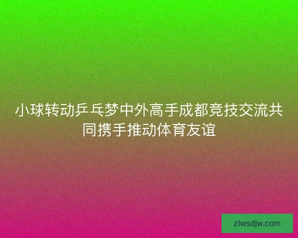 小球转动乒乓梦中外高手成都竞技交流共同携手推动体育友谊 小球转动乒乓梦中外高手成都竞技交流共同携手推动体育友谊